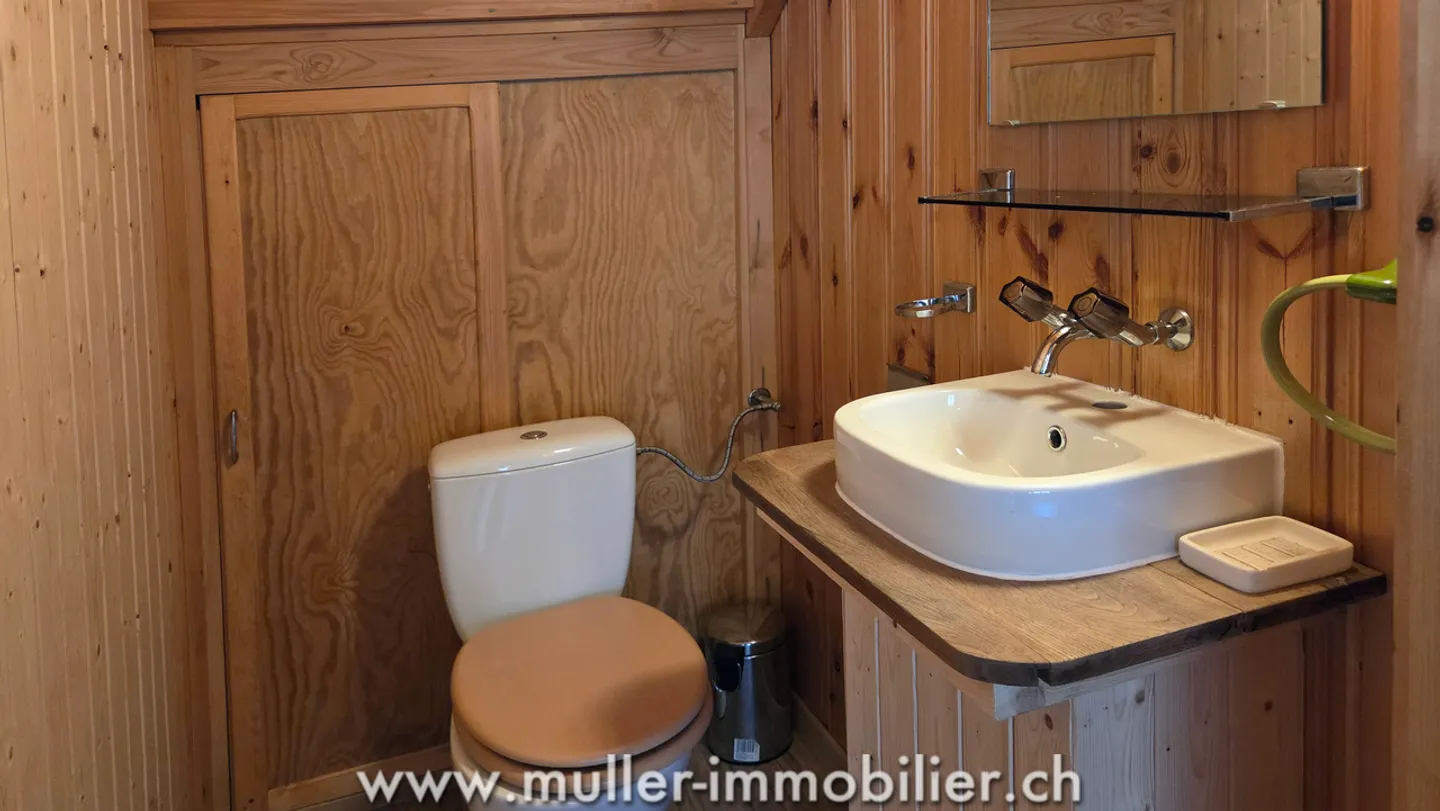 Spacious chalet with a view of the Dents du Midi in Champéry - Photo 7 of 13
