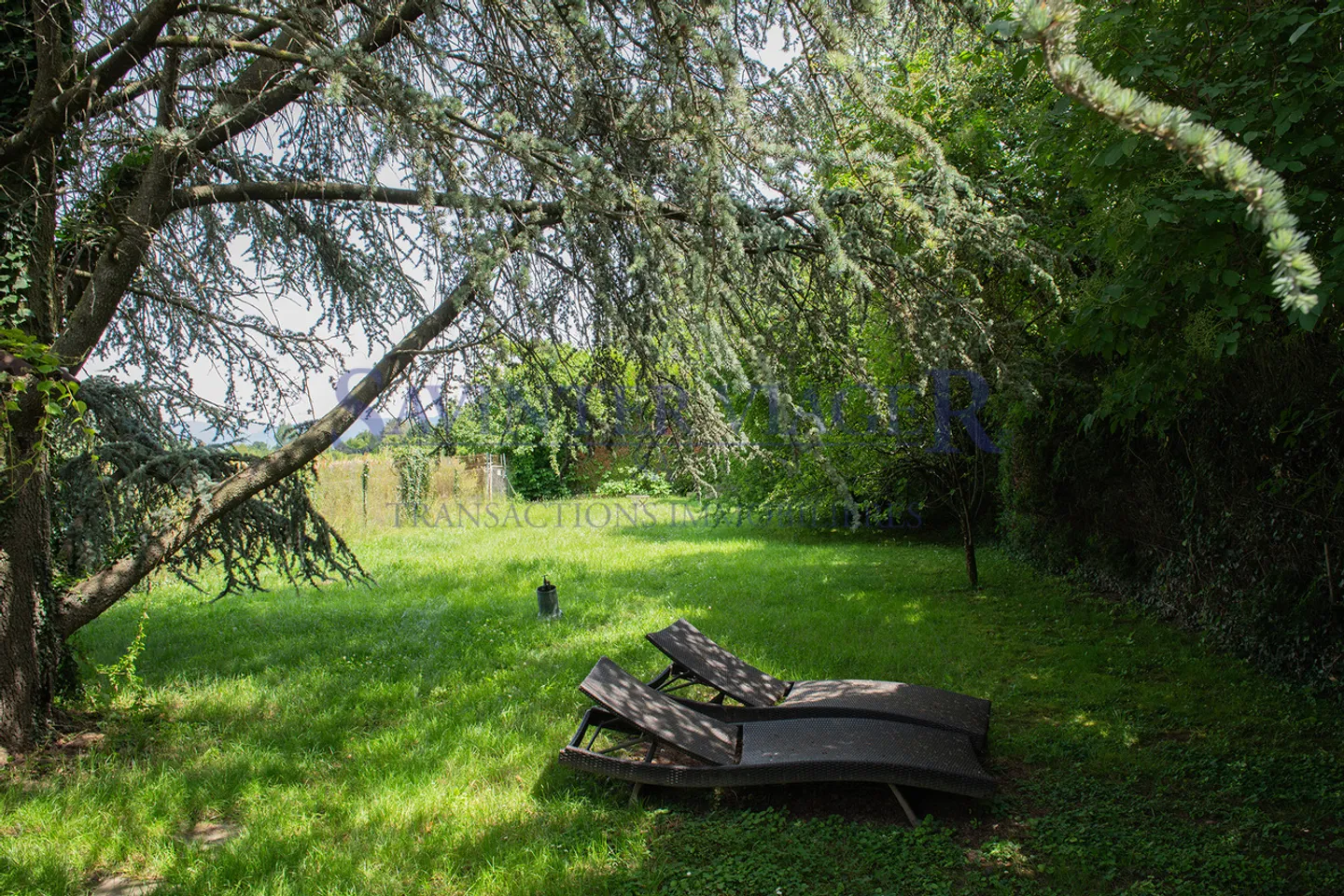 Corsier, Villa in einer grünen Umgebung - Lebenslanges Wohnrecht - Foto 4 von 9