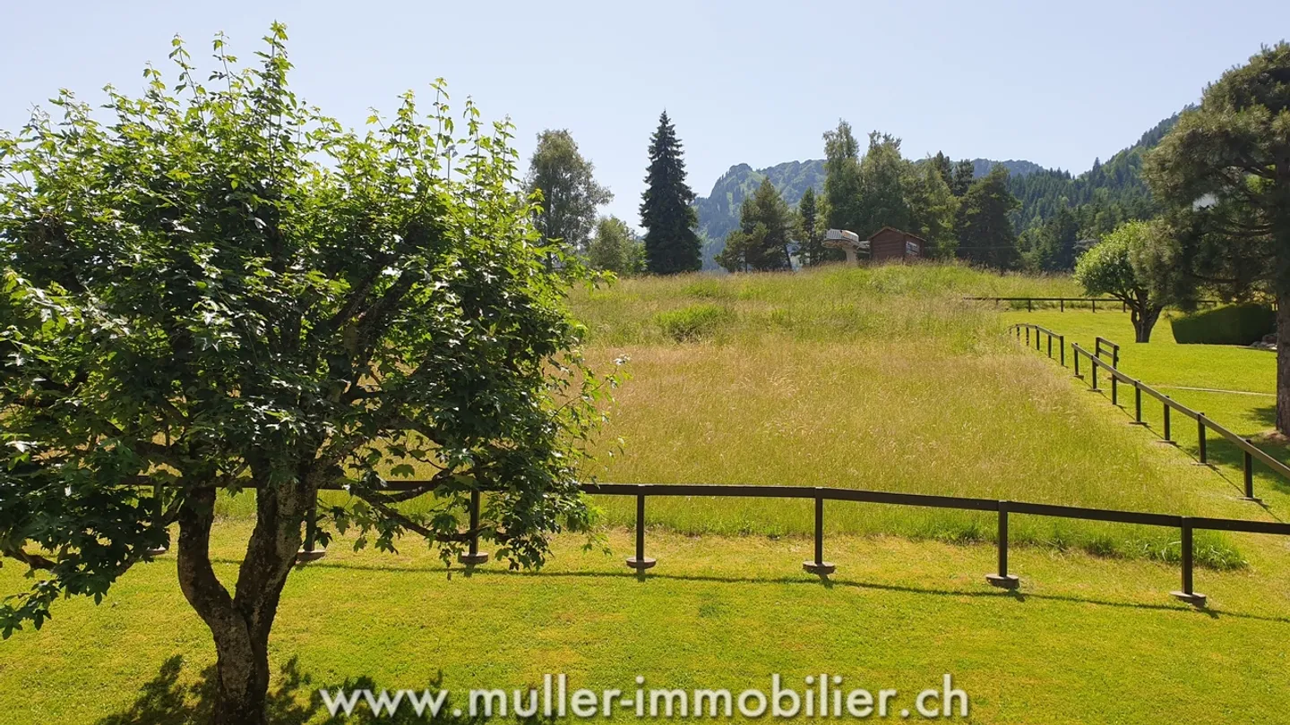 Schöne 2,5-Zimmer-Wohnung, nach Süden ausgerichtet, im 1. Stock in Torgon - Foto 4 von 13