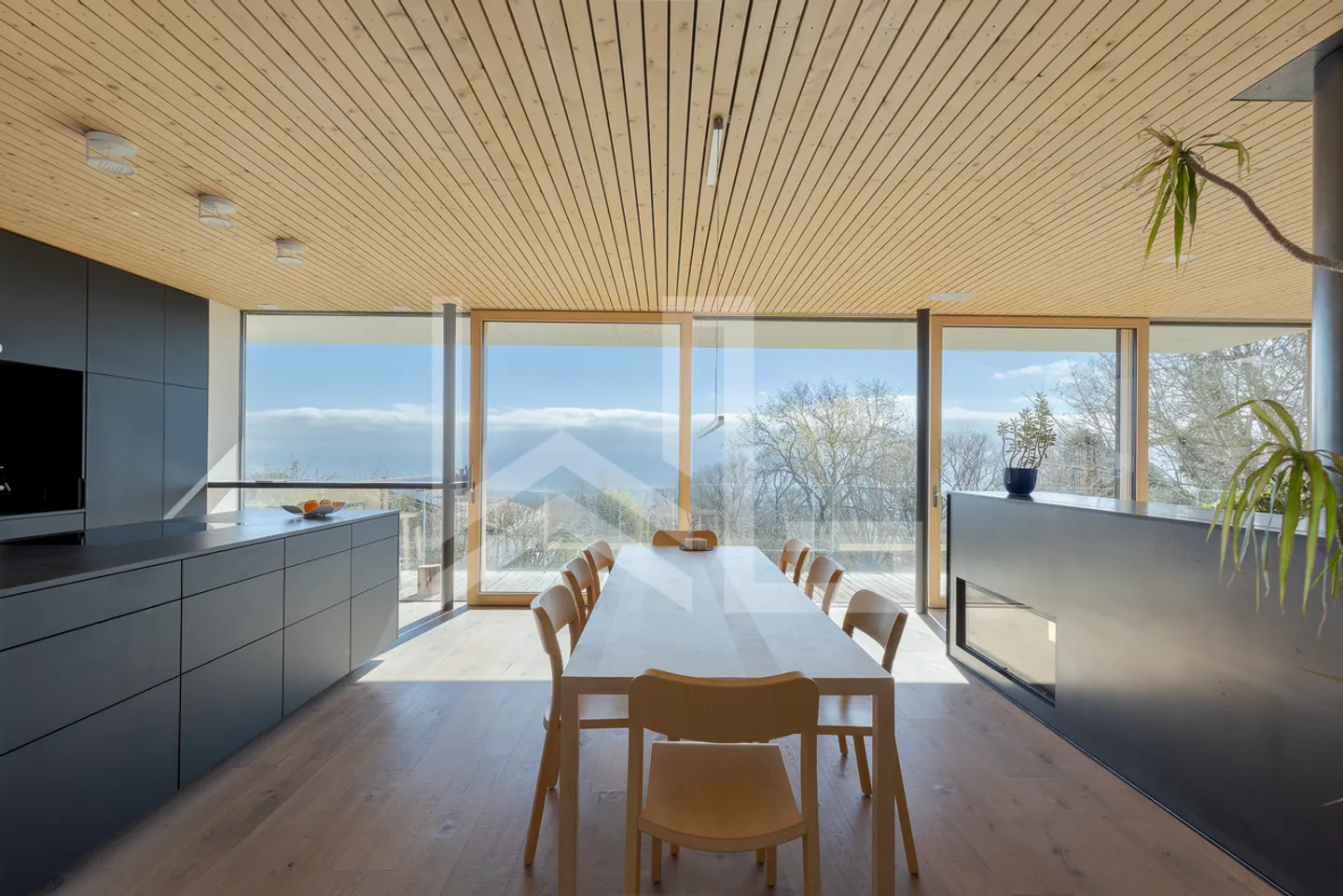 Minergie A+P Zertifizierte Villa - Foto 3 von 7