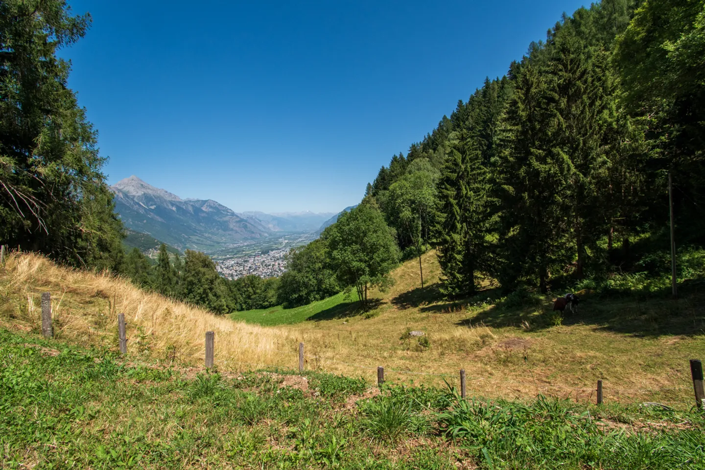Magnifico chalet nel cuore della natura - Foto 3 di 13