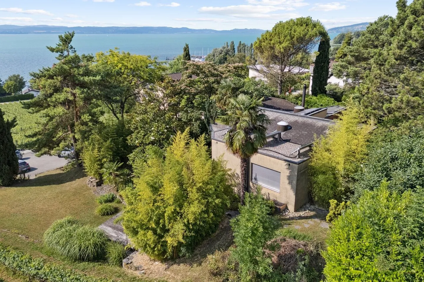 Luogo sfuggente, giardino libero, qui la natura riprende i suoi diritti - Foto 1 di 13