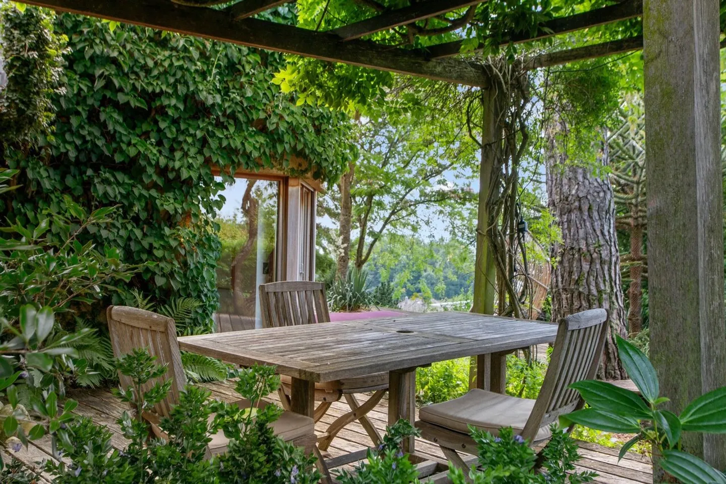 Luogo sfuggente, giardino libero, qui la natura riprende i suoi diritti - Foto 2 di 13