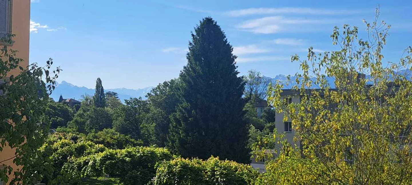 Large 2.5 rooms with balcony, EXCLUSIVITY - Photo 8 of 12