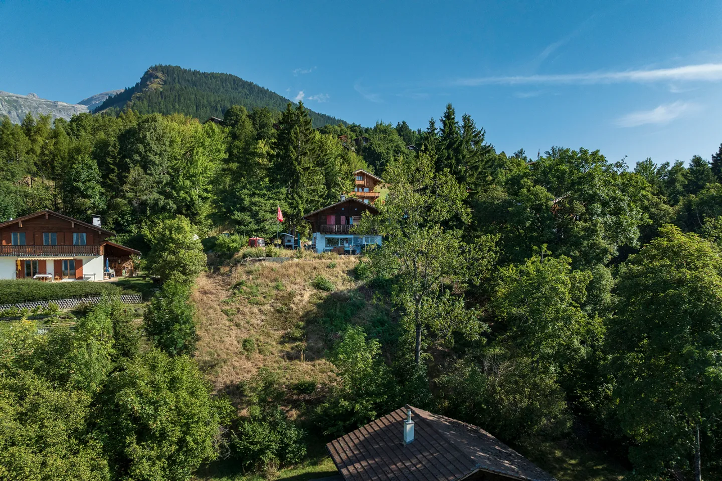 YOUR CHALET TO BUILD 15 MINUTES FROM SION ON THE HEIGHTS! - Photo 5 of 13