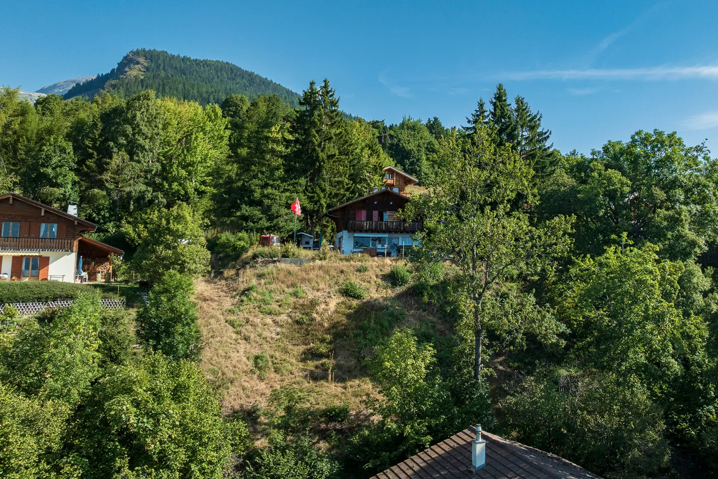 YOUR CHALET TO BUILD 15 MINUTES FROM SION ON THE HEIGHTS! - Photo 6 of 13