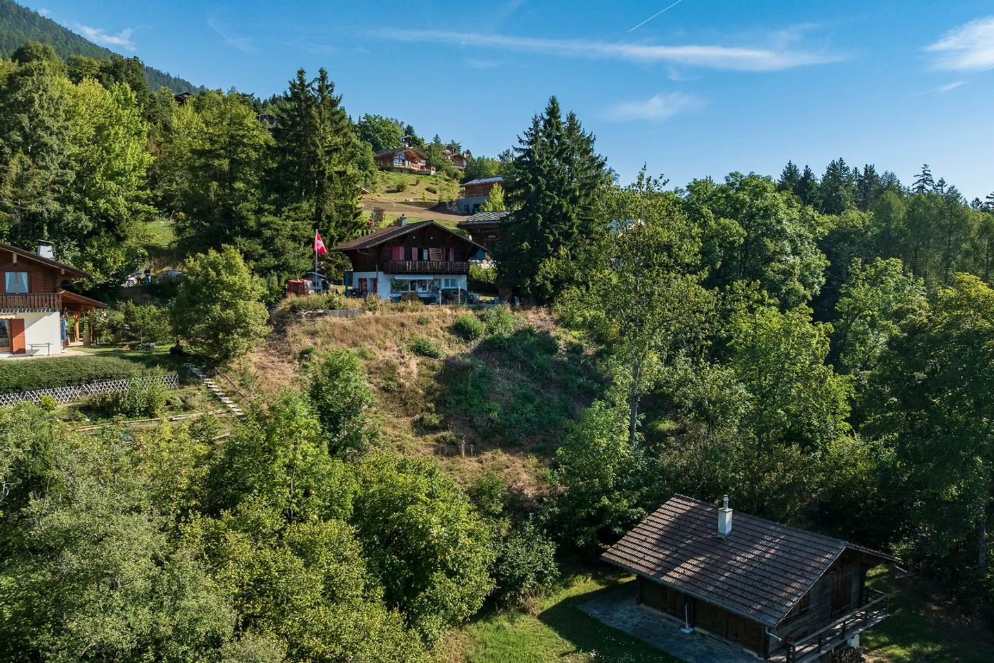 YOUR CHALET TO BUILD 15 MINUTES FROM SION ON THE HEIGHTS! - Photo 7 of 13