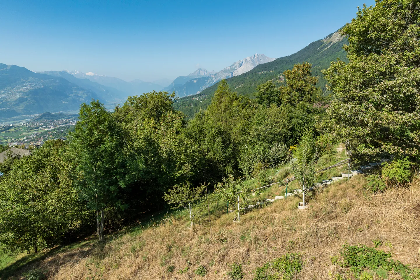 YOUR CHALET TO BUILD 15 MINUTES FROM SION ON THE HEIGHTS! - Photo 12 of 13