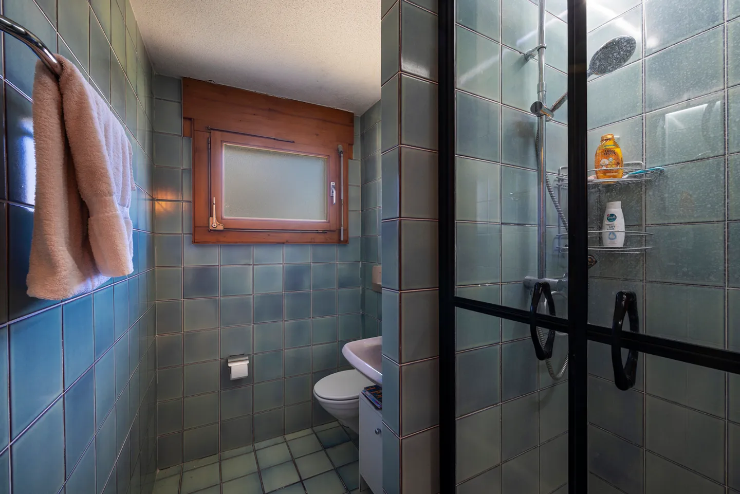 Incantevole appartamento di 3.5 locali con vista panoramica - Foto 10 di 13