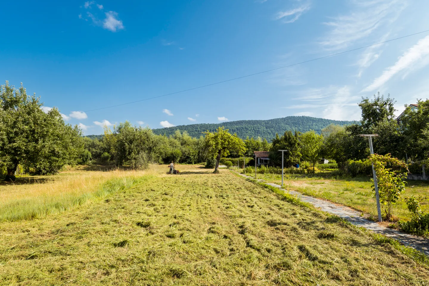 Maison avec potentiel de développement - Photo 2 sur 13