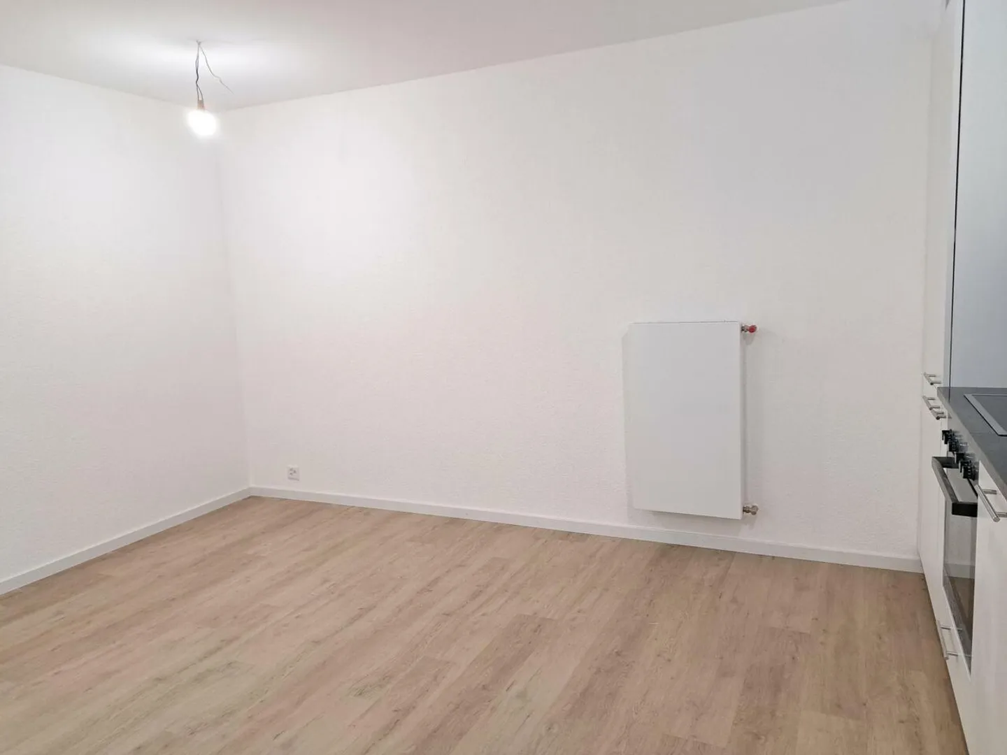 Prébarreau 5 - 2,5 p - spazioso - ristrutturato centro città - Foto 3 di 7