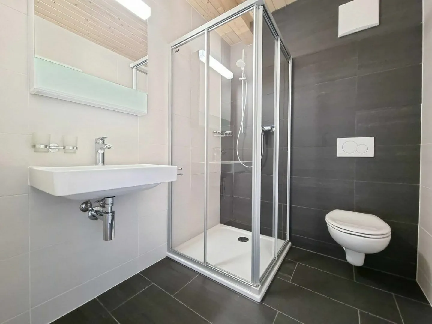 Magnificent 3.5-room apartment on the top floor - Photo 7 of 10