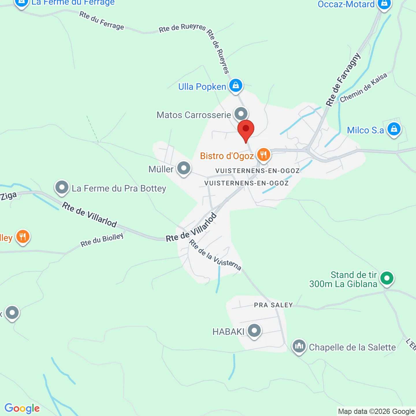 Vuisternens-en-Ogoz / 3.5 stanze con giardino - Foto 10 di 10