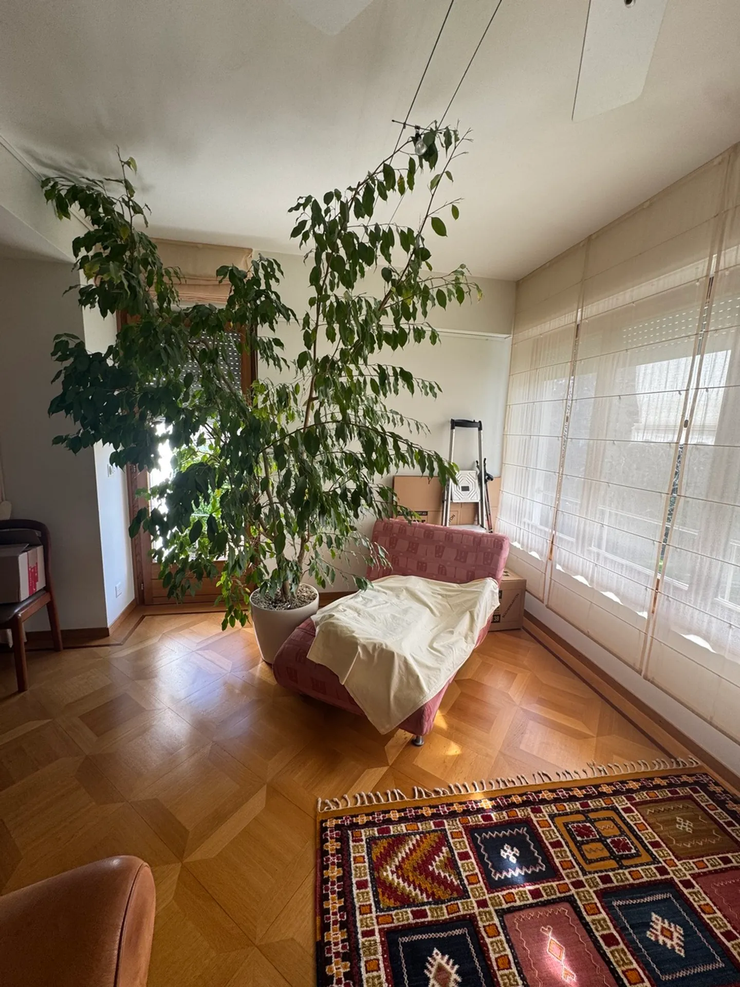 Pully - Bright apartment with private terrace - Photo 2 of 9