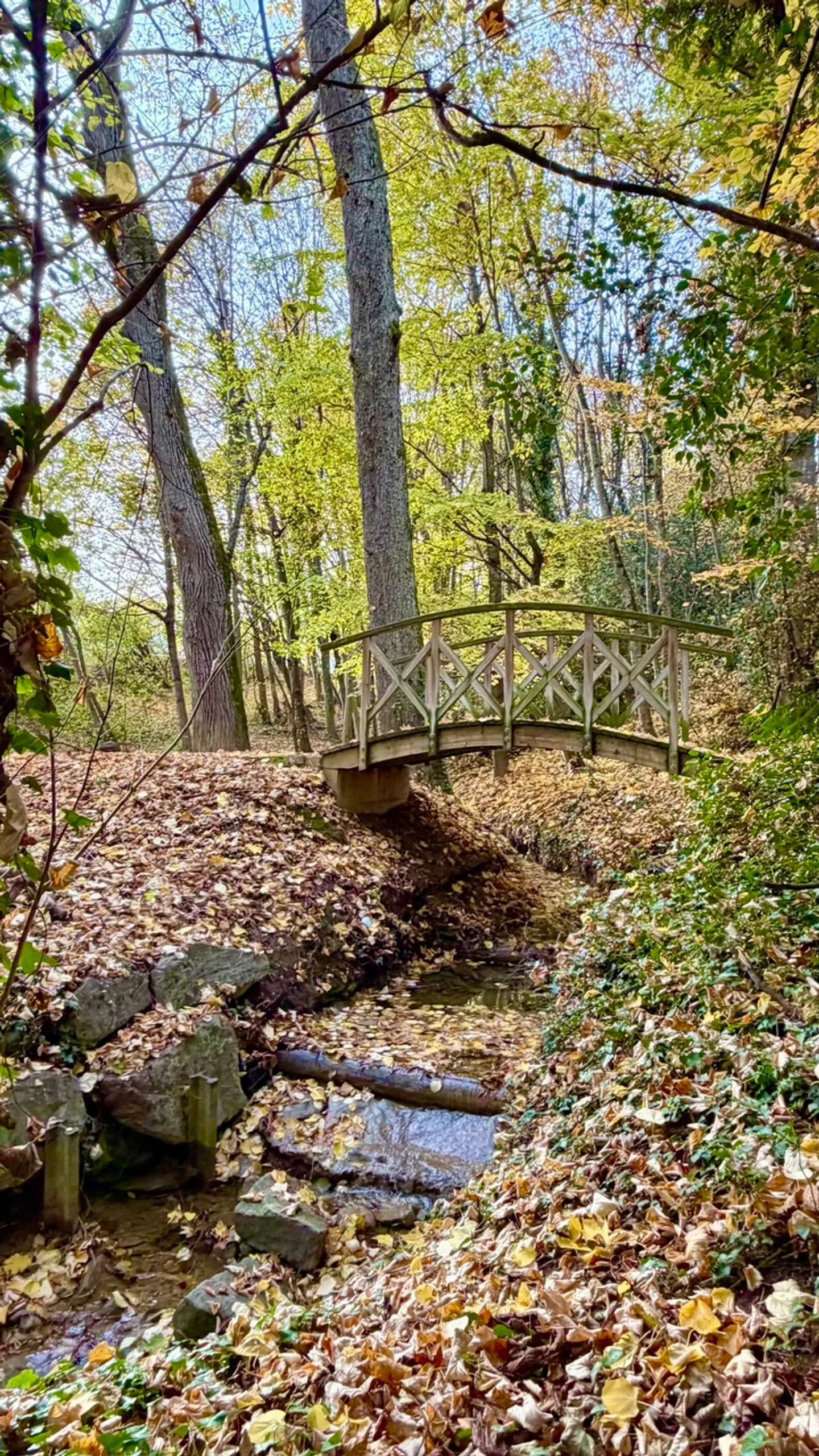 Villa Soleil! Between lake, nature, and comfort... - Photo 11 of 12