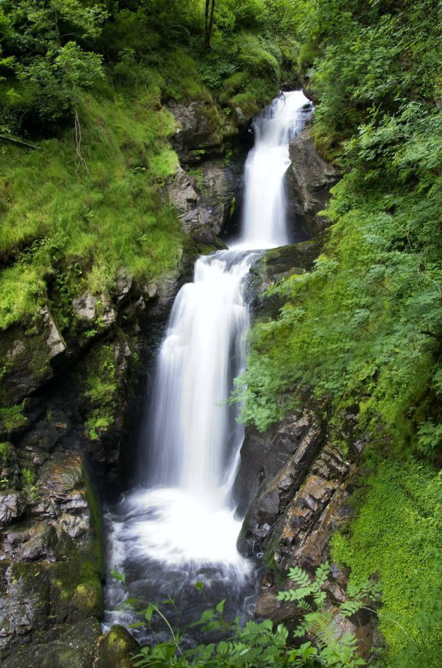 Appartamento ristrutturato! - Foto 2 di 7