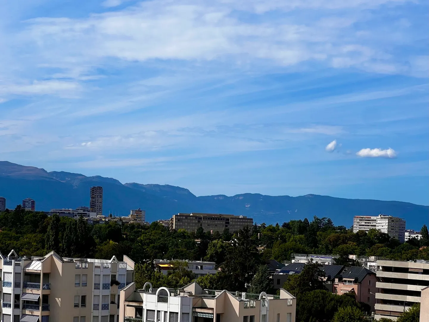6027.A Grand-Lancy: 6-Zimmer Penthouse-Wohnung zur Renovierung mit Blick und Terrassen - Foto 4 von 7