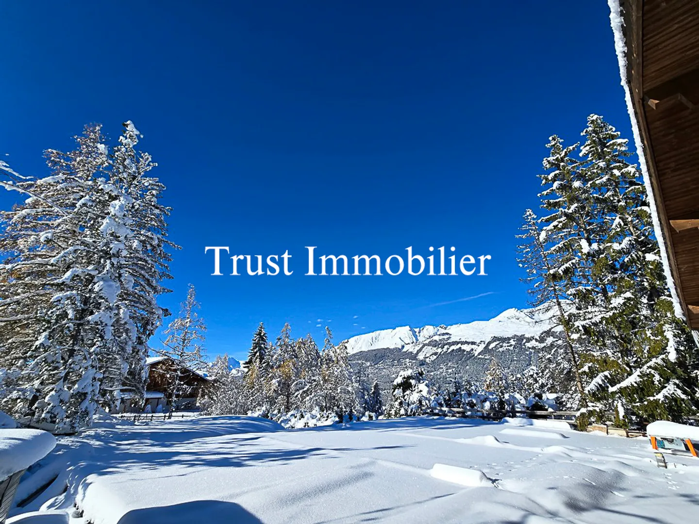 6031. Votre future résidence en pleine nature - Photo 3 sur 6