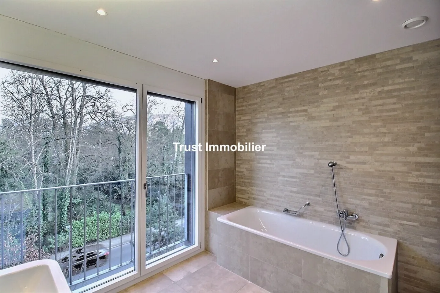 Spacious Apartment with Salève View - Photo 11 of 13