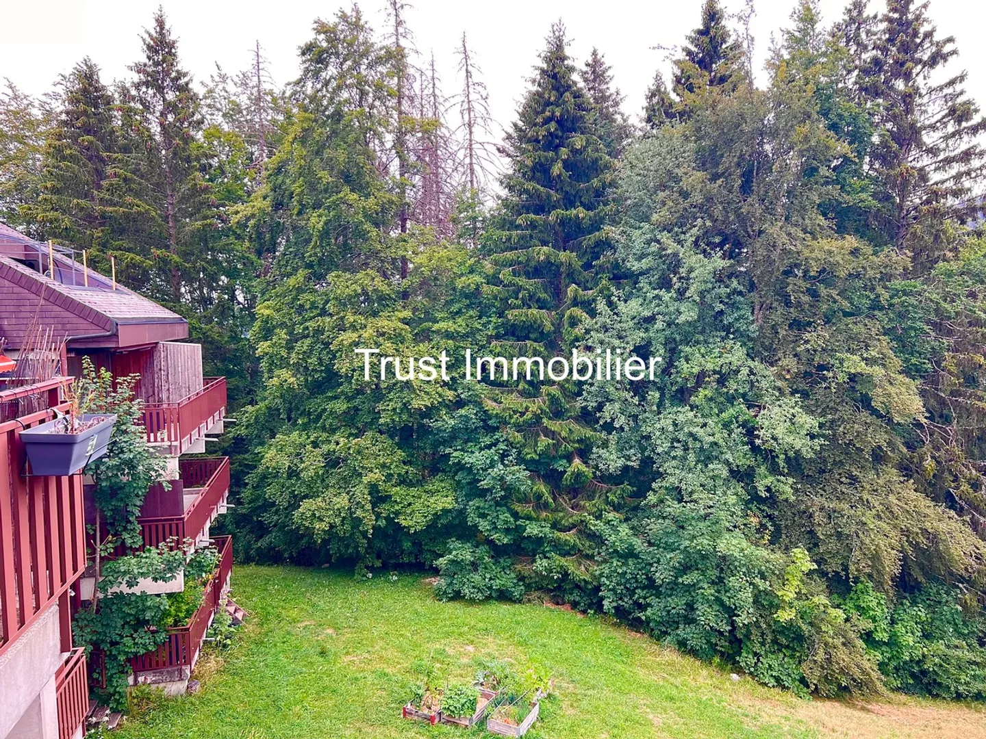 Studio Charmant avec Vue sur la Forêt - Photo 12 sur 13