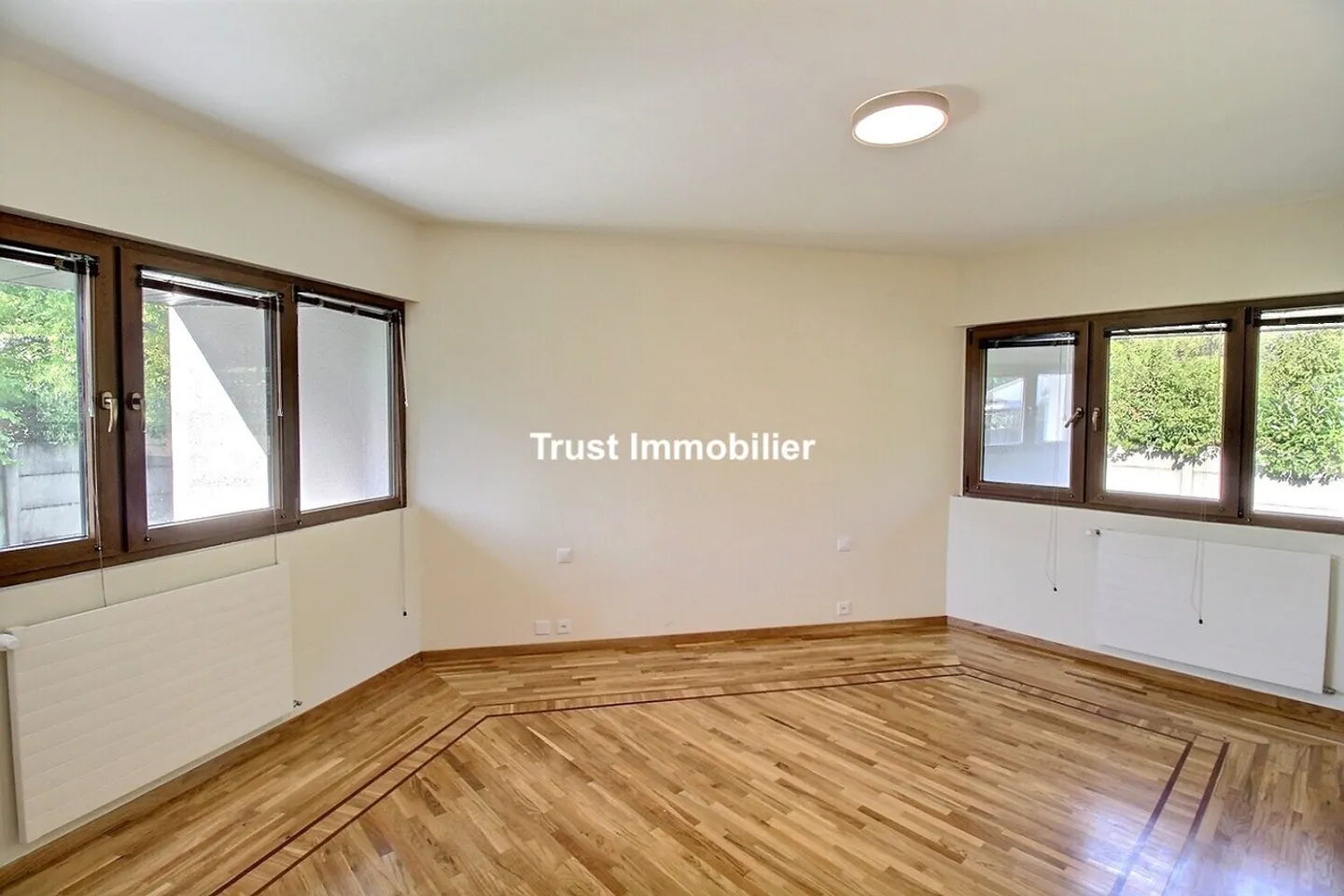 6029. VESSY: RENOVATED ARCHITECT VILLA WITH SALEVE VIEW - Photo 9 of 13