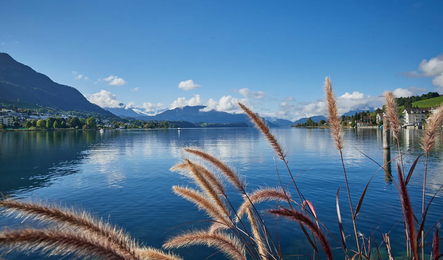 Penthouse above the rooftops of Küssnacht - urban living location with Rigi view - Photo 11 of 13