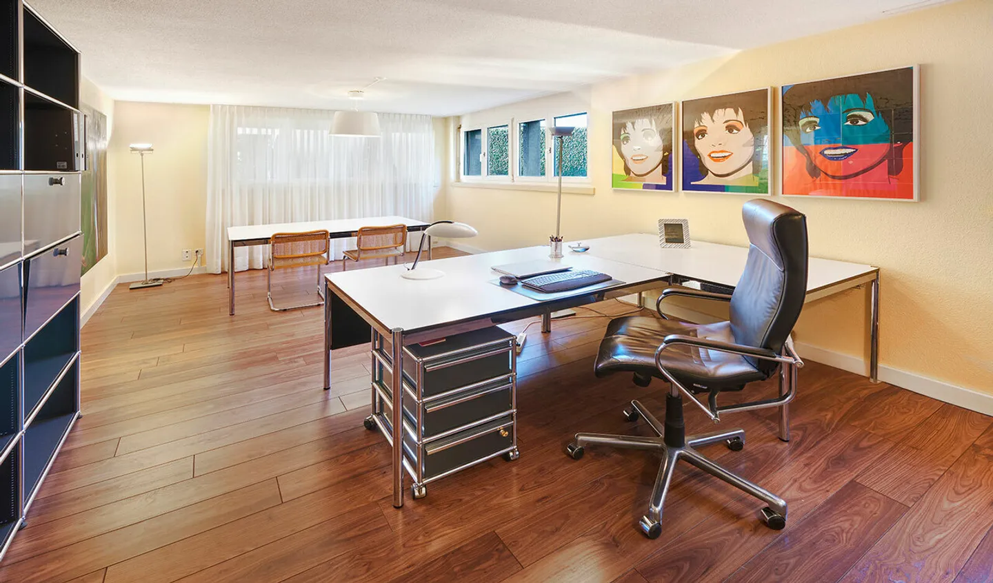 Lake View Included: Living and Working Harmoniously Combined - Photo 8 of 9