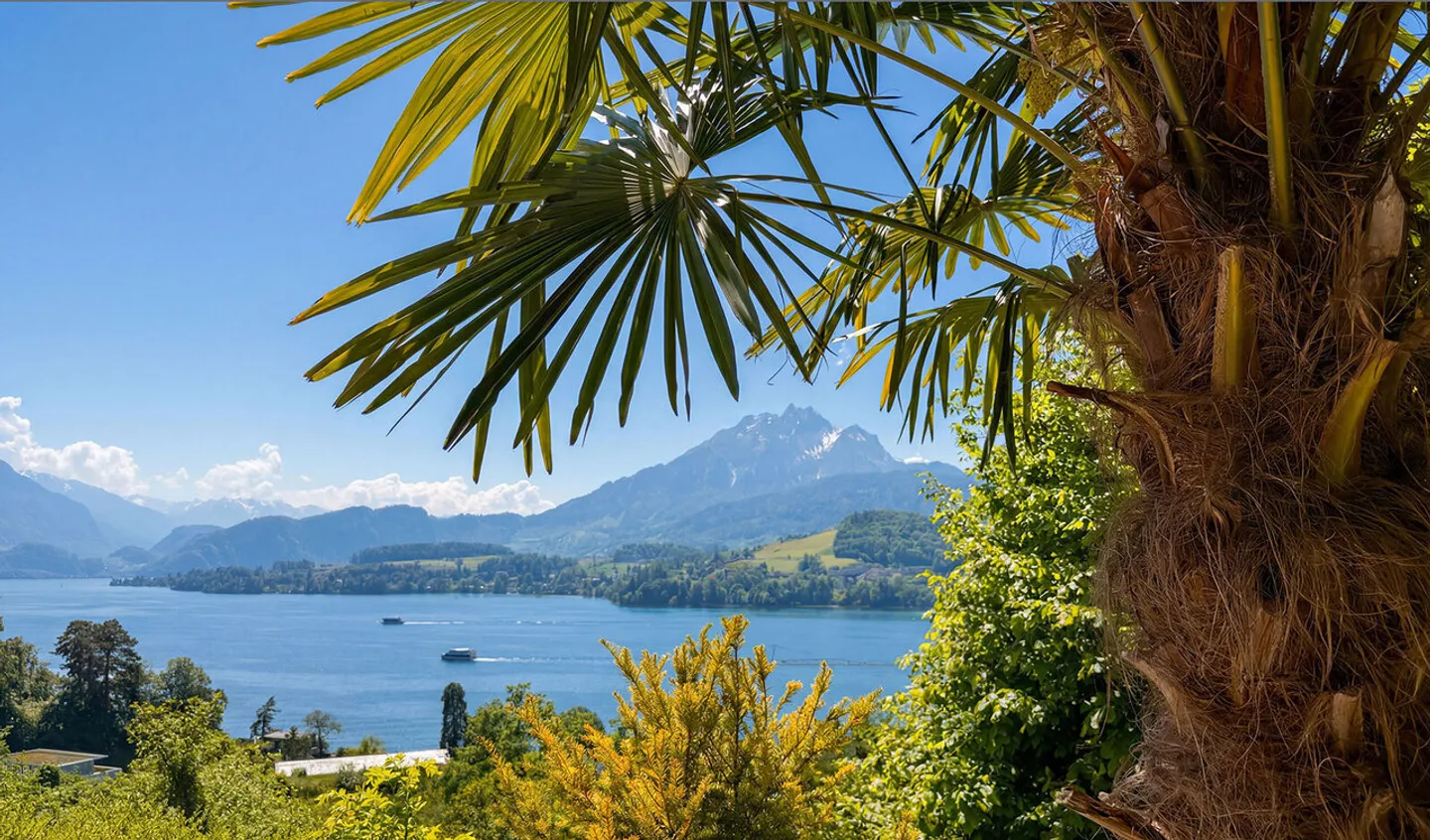Studio unico con vista sul Pilatus e sul lago - Foto 1 di 10
