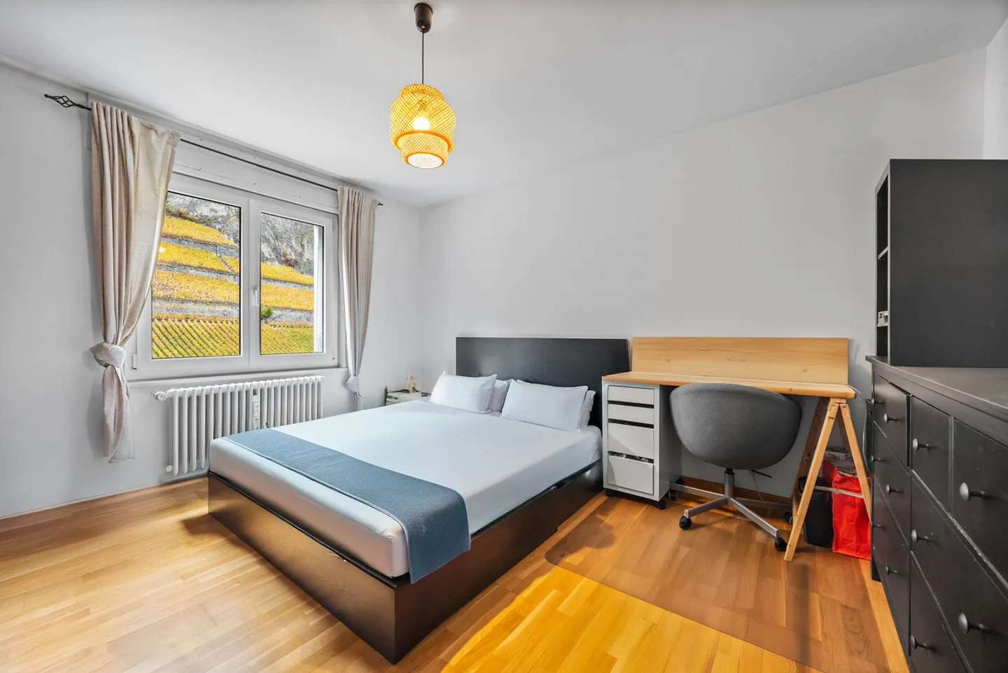 3.5 Room Apartment - Unobstructed View and by the Dranse - Photo 8 of 13