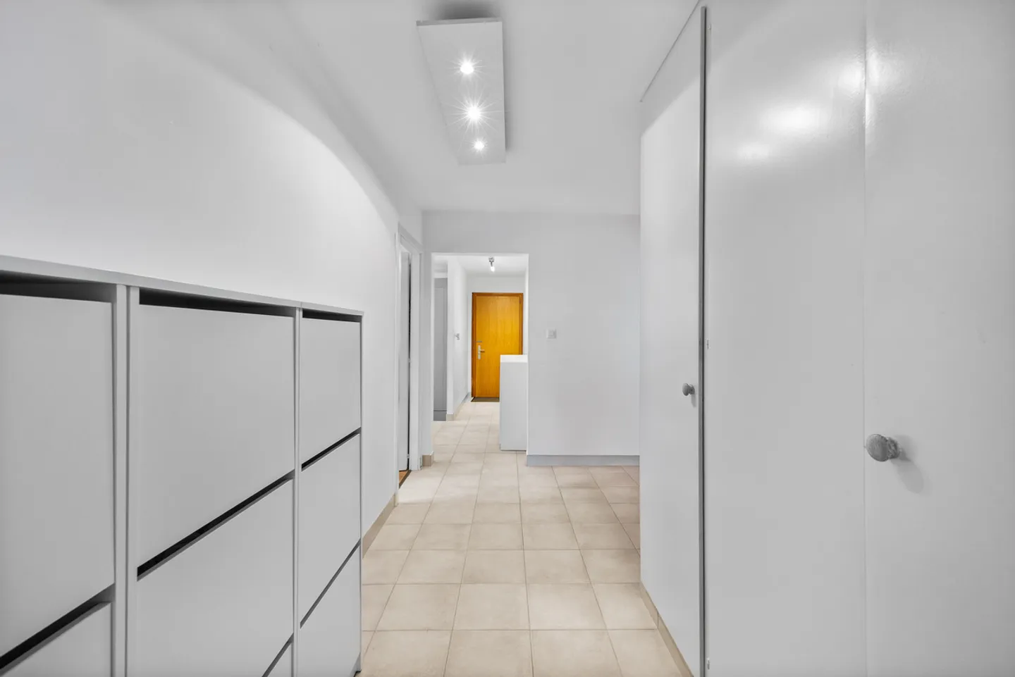 3.5 Room Apartment - Unobstructed View and by the Dranse - Photo 11 of 13
