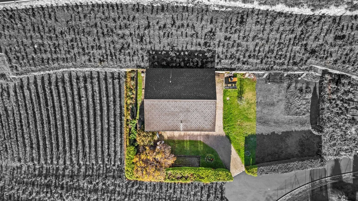 Casa a Branson - Tra vigne, sole e assoluta tranquillità! - Foto 5 di 13