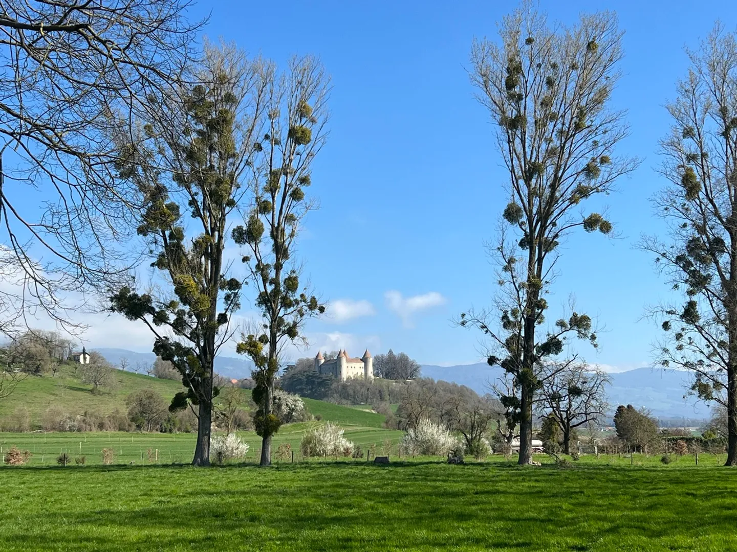 Residenza La Châtelaine Mathod - Foto 4 di 6