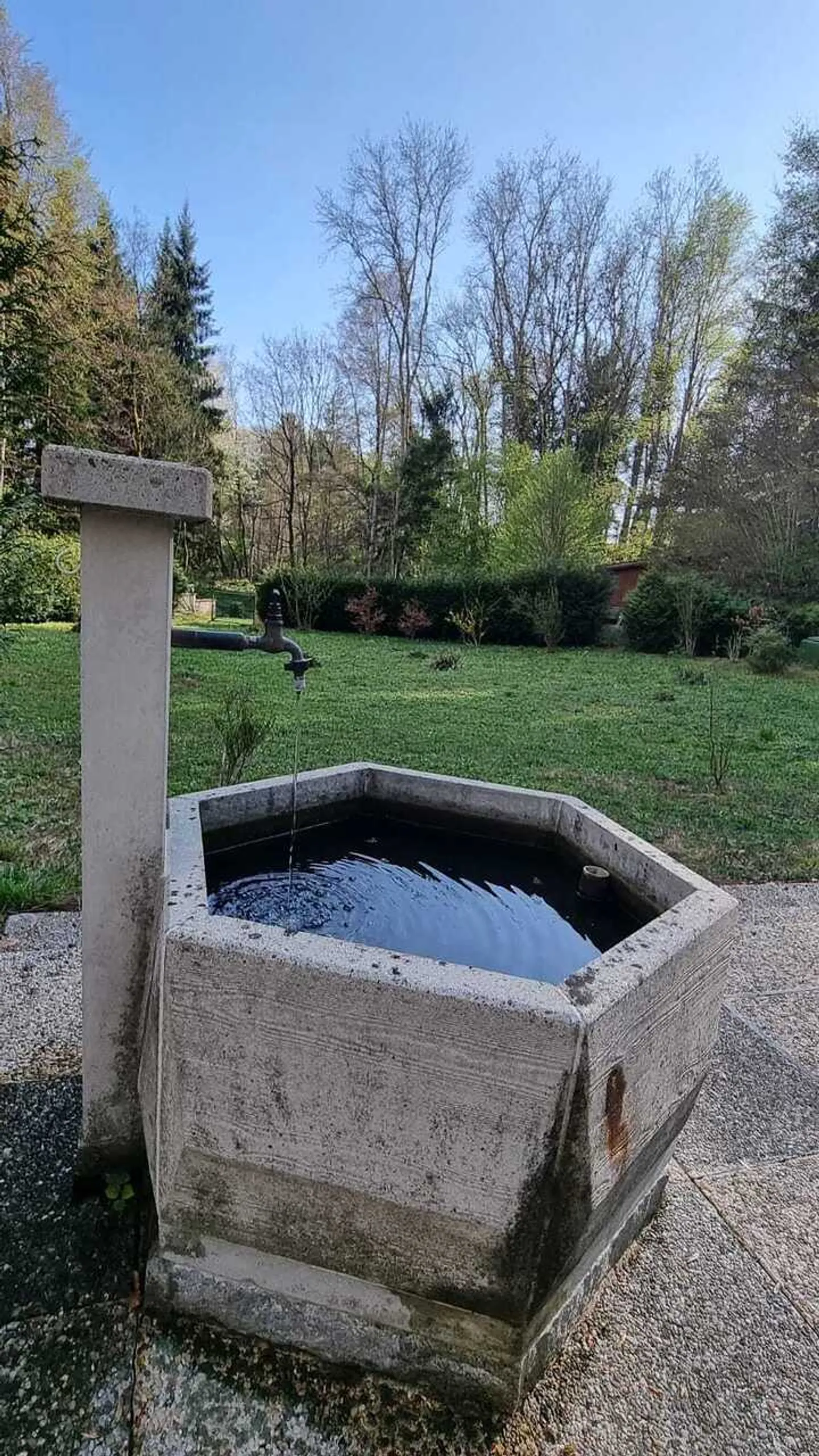 Chalet de week-end au calme à Lausanne - Photo 3 of 13