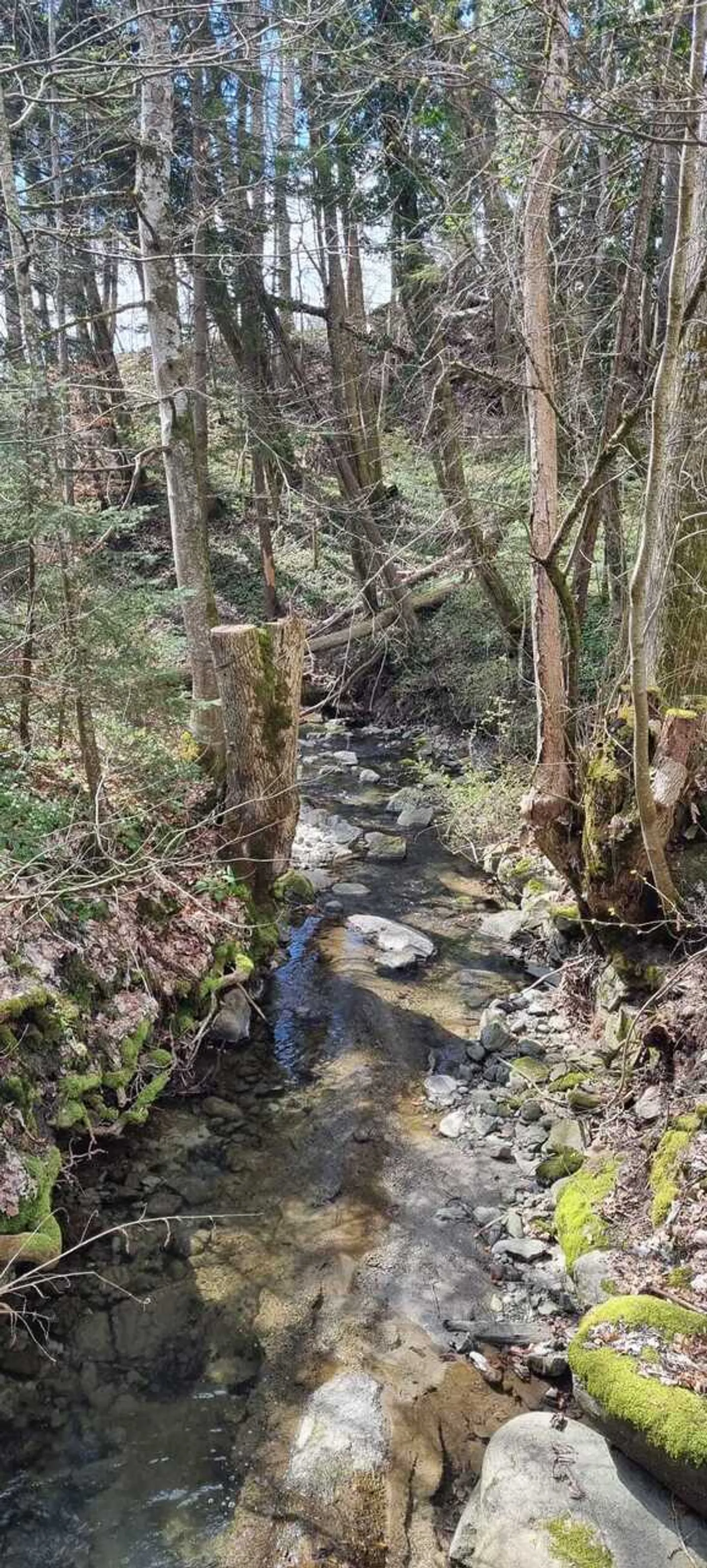 Chalet de week-end au calme à Lausanne - Photo 11 sur 13