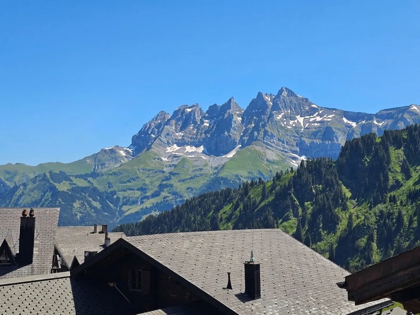Ski-in/Ski-out Chalet with breathtaking views of the Dents du Midi - Photo 2 of 8