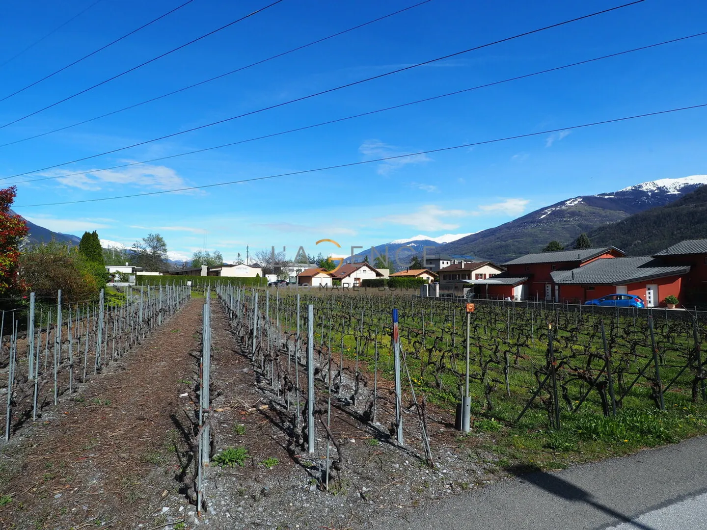 Terrain à construire - Photo 3 sur 4