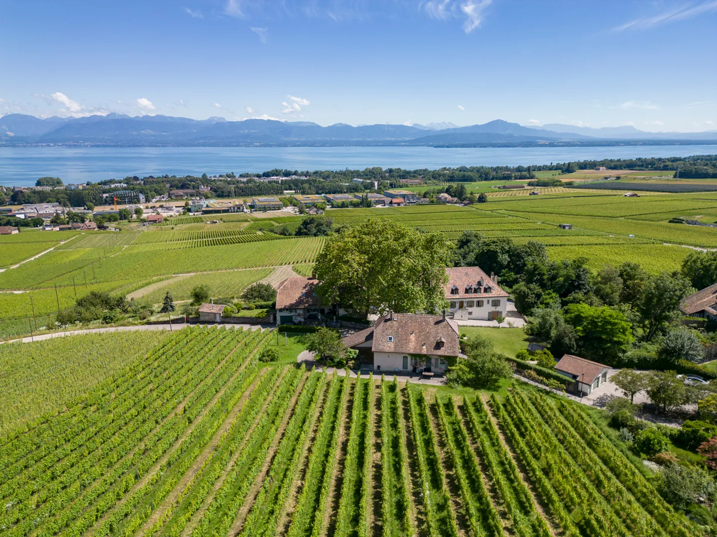 An den Toren von Rolle, Winzerhaus umgeben von Weinbergen - Foto 1 von 8