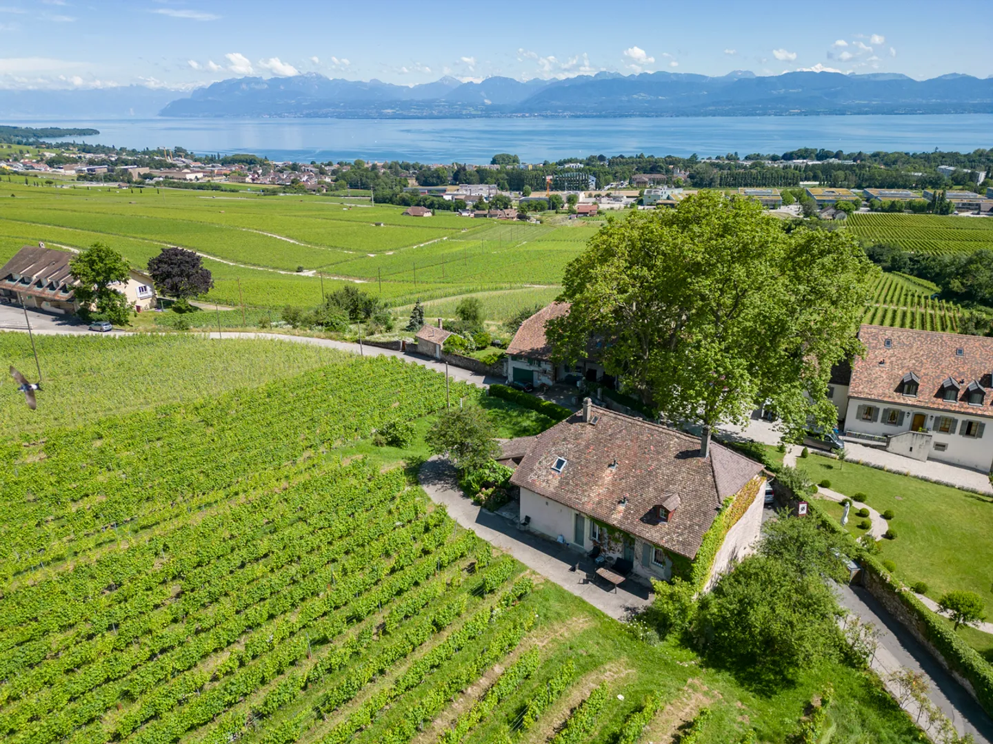 An den Toren von Rolle, Winzerhaus umgeben von Weinbergen - Foto 2 von 8