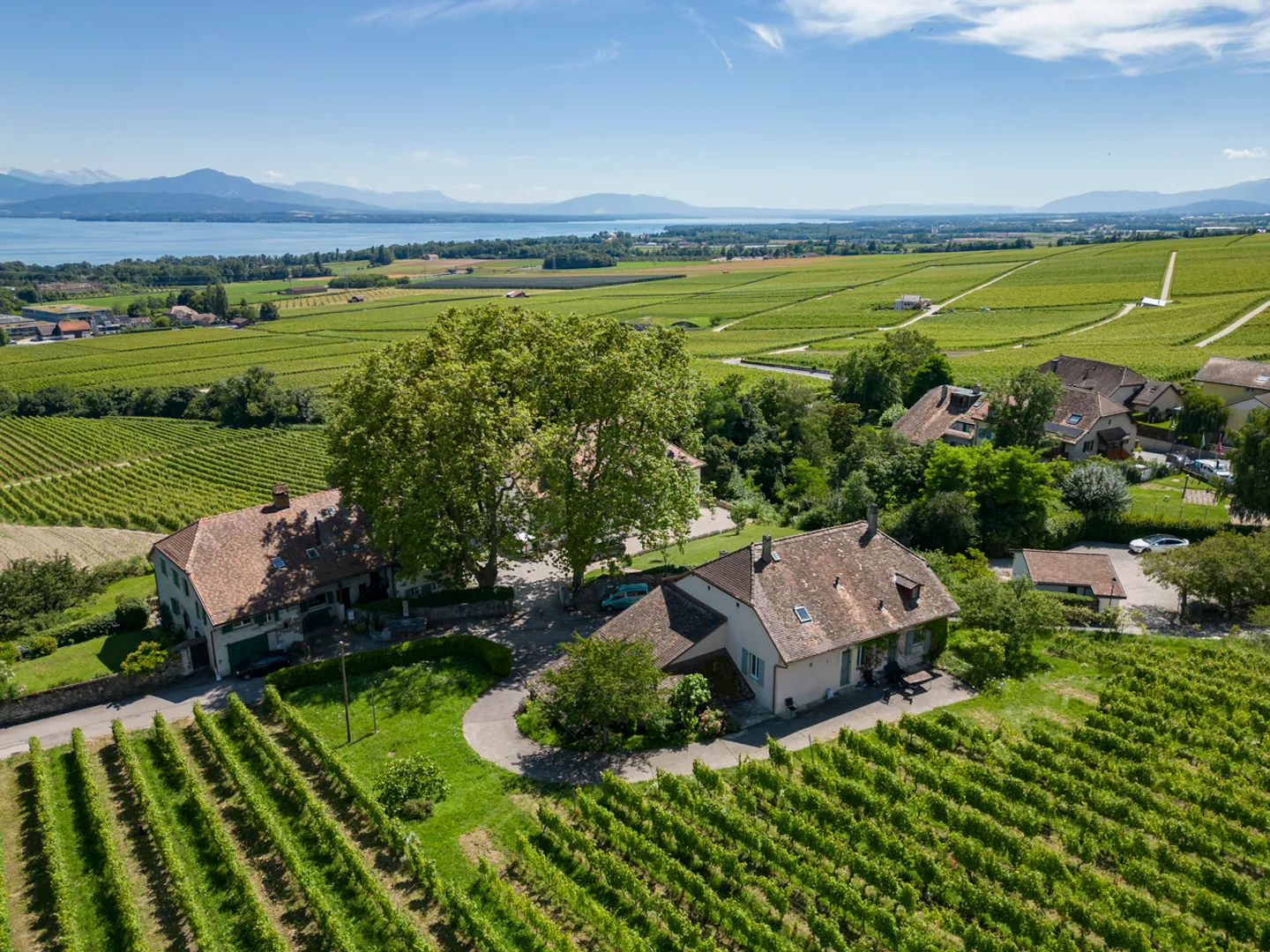 An den Toren von Rolle, Winzerhaus umgeben von Weinbergen - Foto 3 von 8
