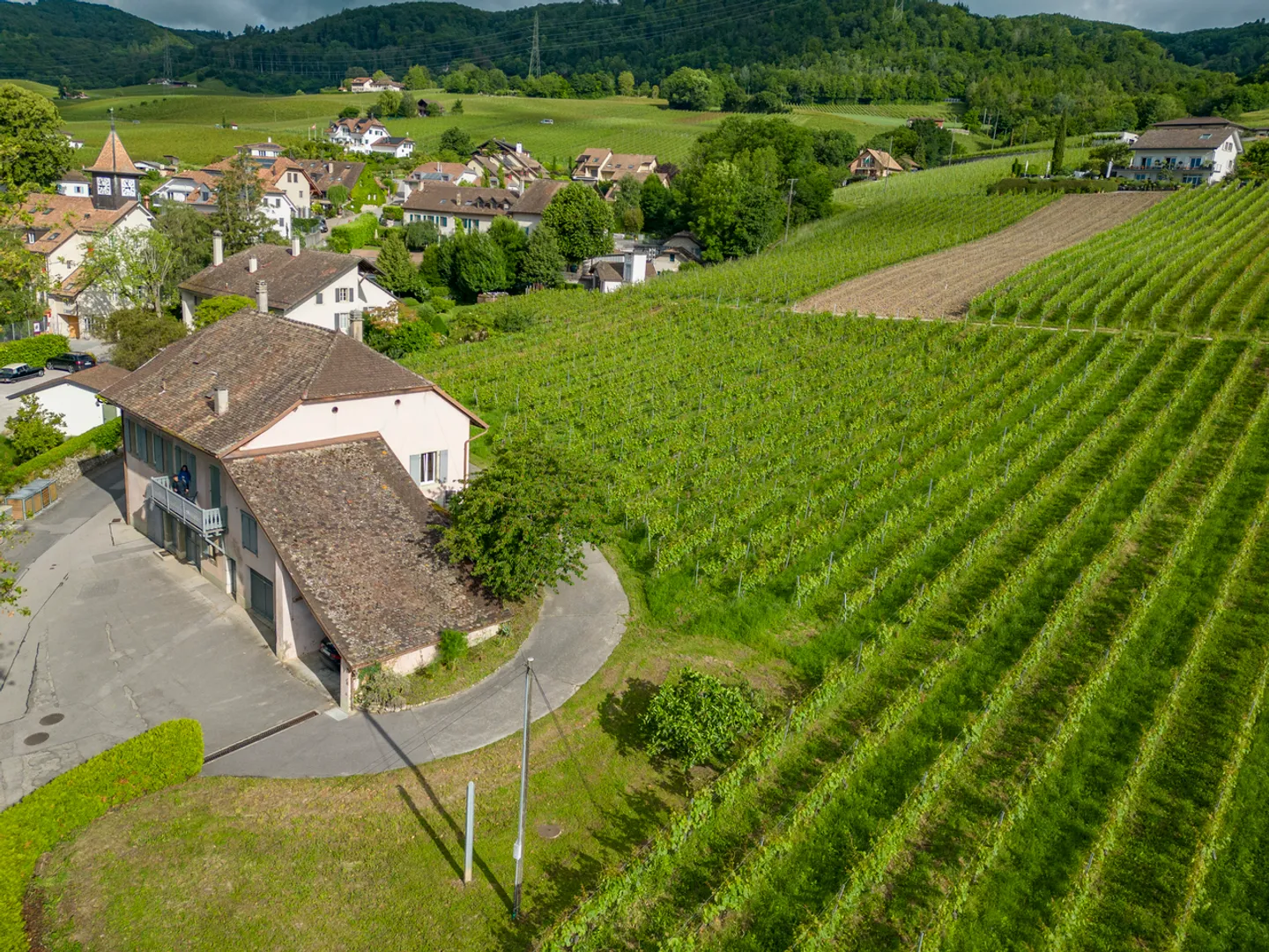 An den Toren von Rolle, Winzerhaus umgeben von Weinbergen - Foto 5 von 8