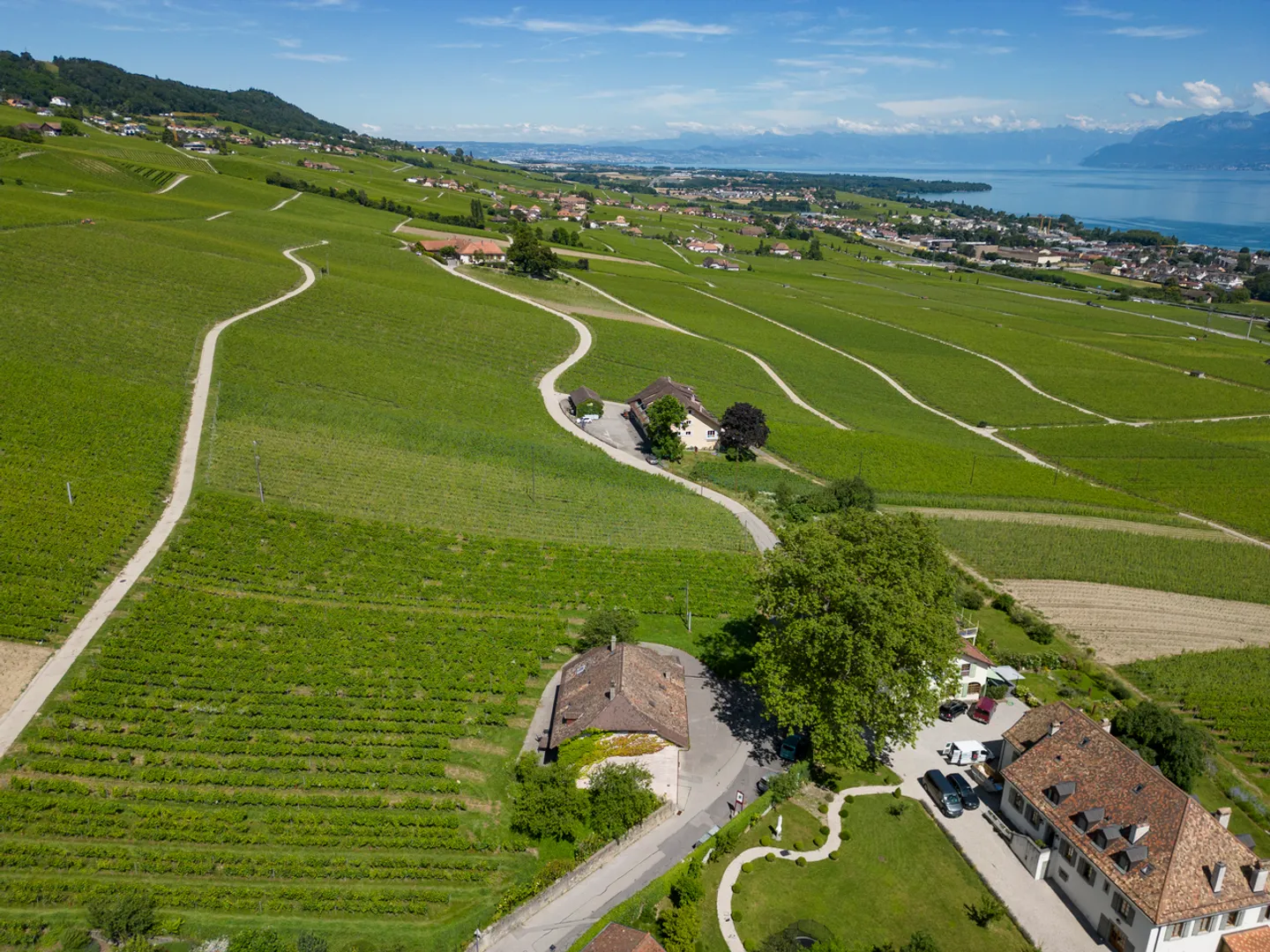 An den Toren von Rolle, Winzerhaus umgeben von Weinbergen - Foto 4 von 8