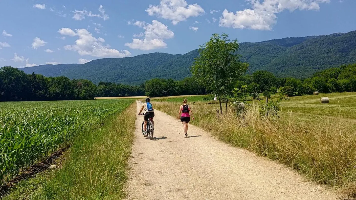 Duplex en attique avec vue sur le Mont-Blanc - Photo 10 of 11