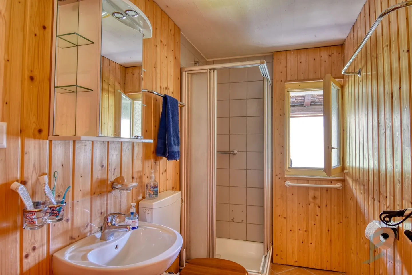 ESCLUSIVO Chalet indipendente affascinante di 3 ½ locali esposto a sud - Foto 7 di 13