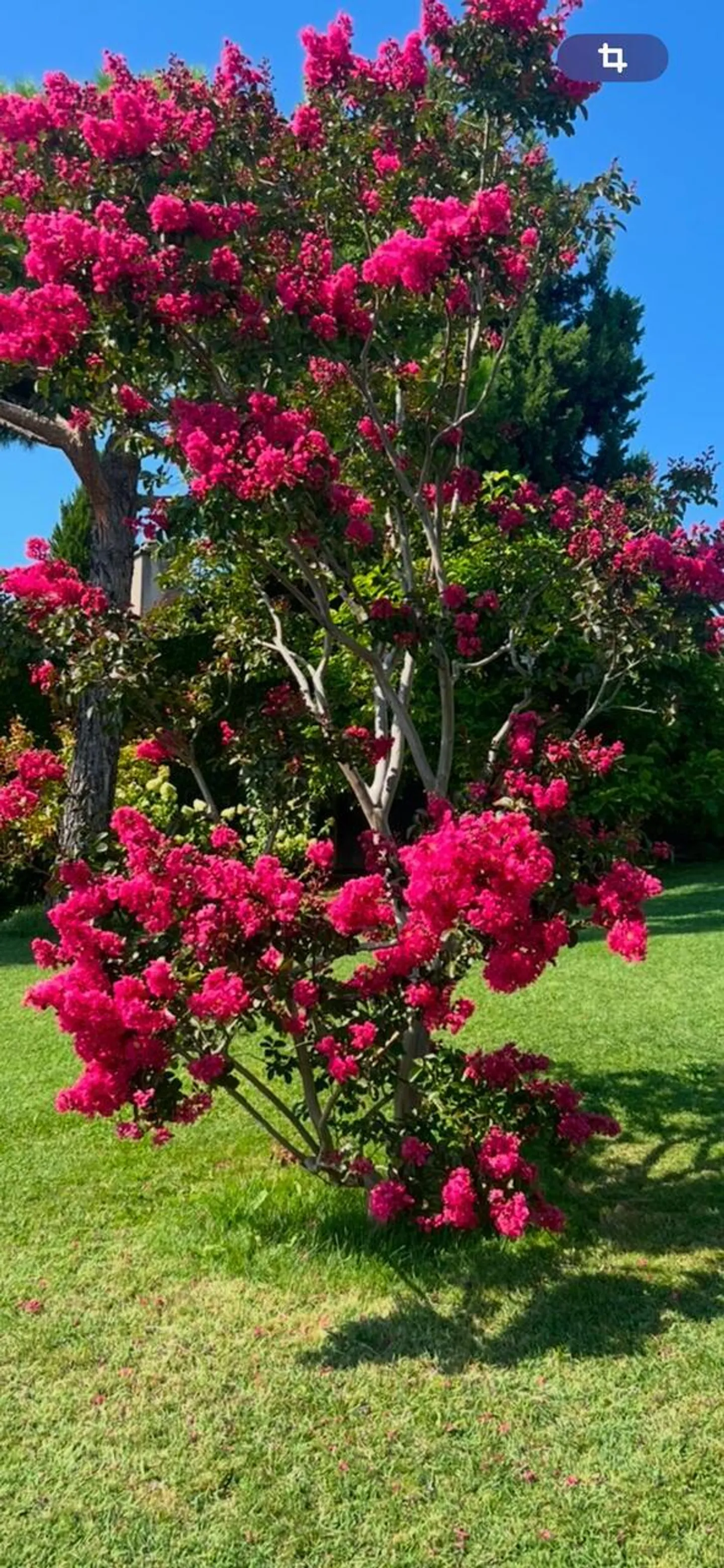 Magnifica proprietà su un terreno di 1734m2 in vendita a Lutry - Foto 1 di 7