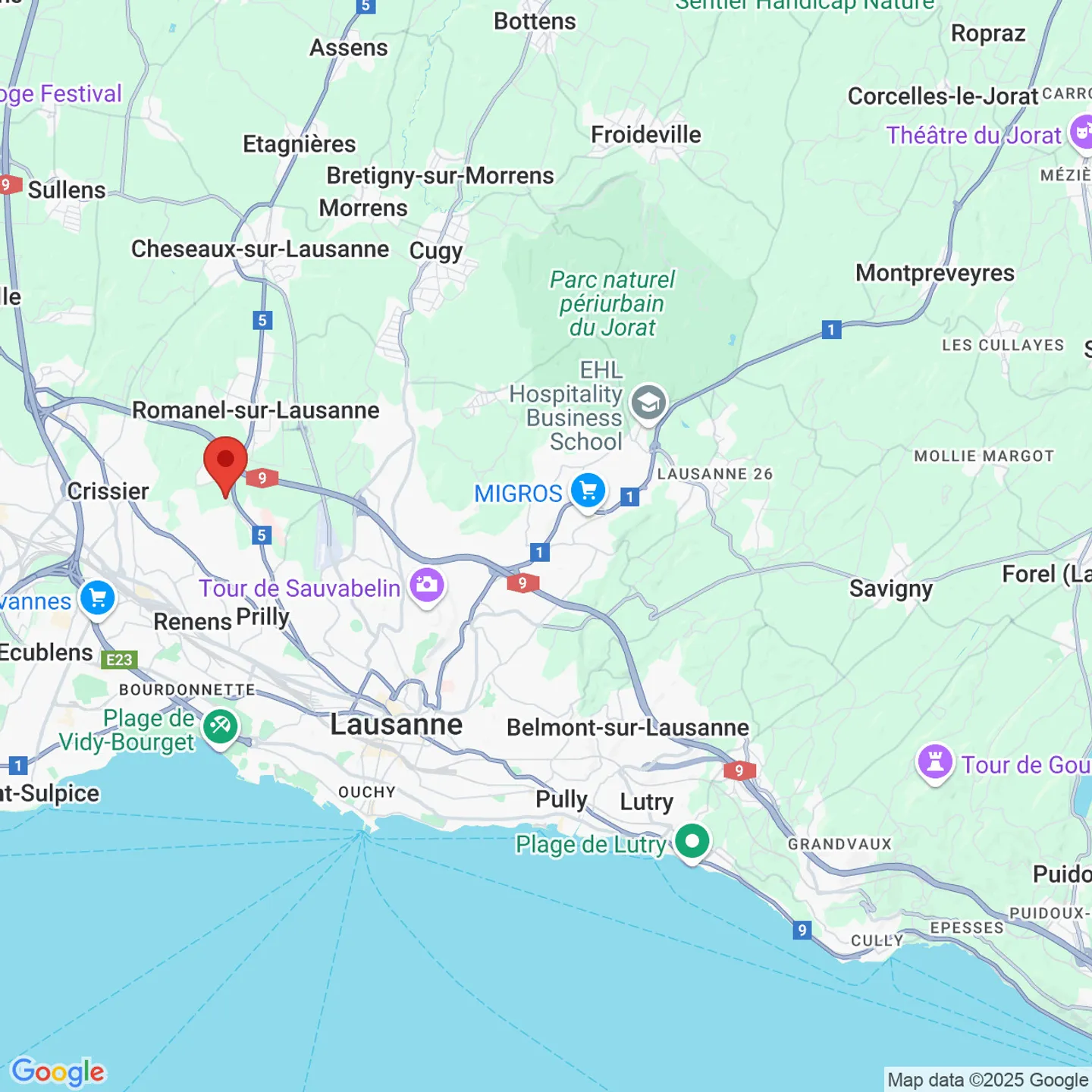 Prestigious Master House Near Lausanne - Photo 6 of 6