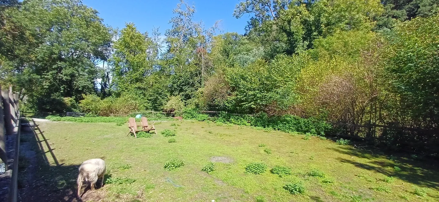 EINLADENDES HAUS MIT 9 ZIMMERN. CHARME UND CHARAKTER. 2000 QM. BACH - Foto 5 von 13