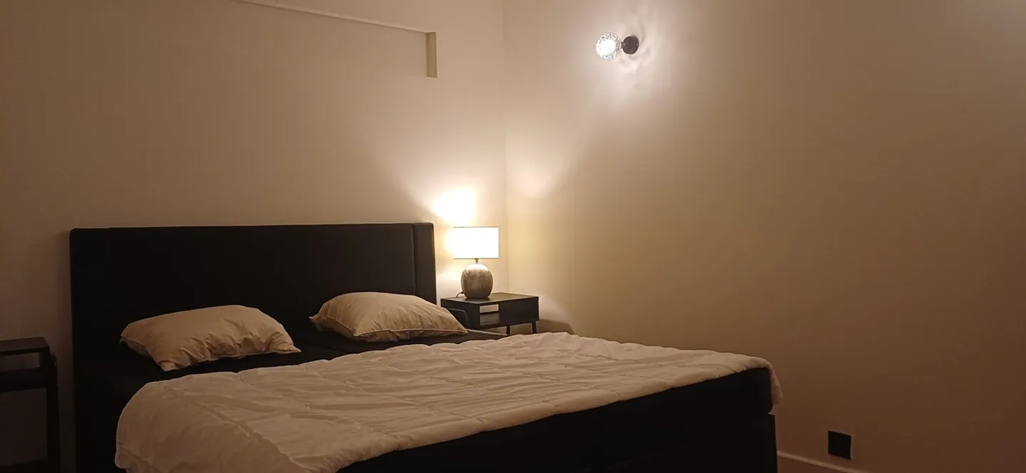 Pully, mehrere 4- bis 6-Zimmer-Wohnungen zu verkaufen - Foto 1 von 12