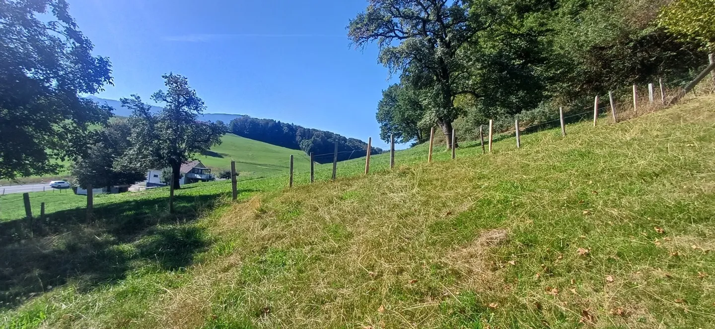 Ferme de caractère à rénover - Photo 3 sur 10