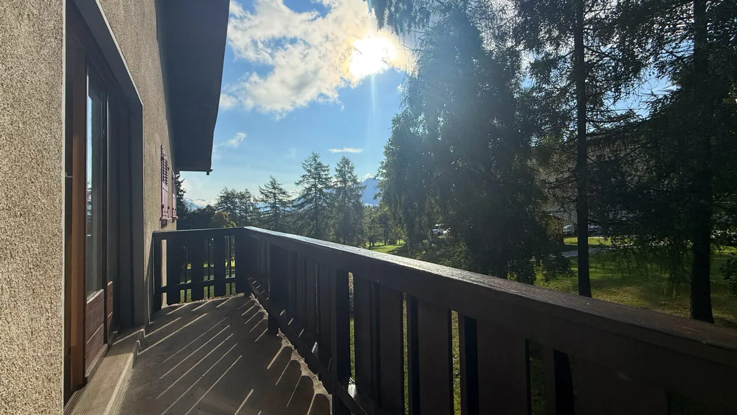 LOC 187 - ARLEQUIN - Foto 12 di 12