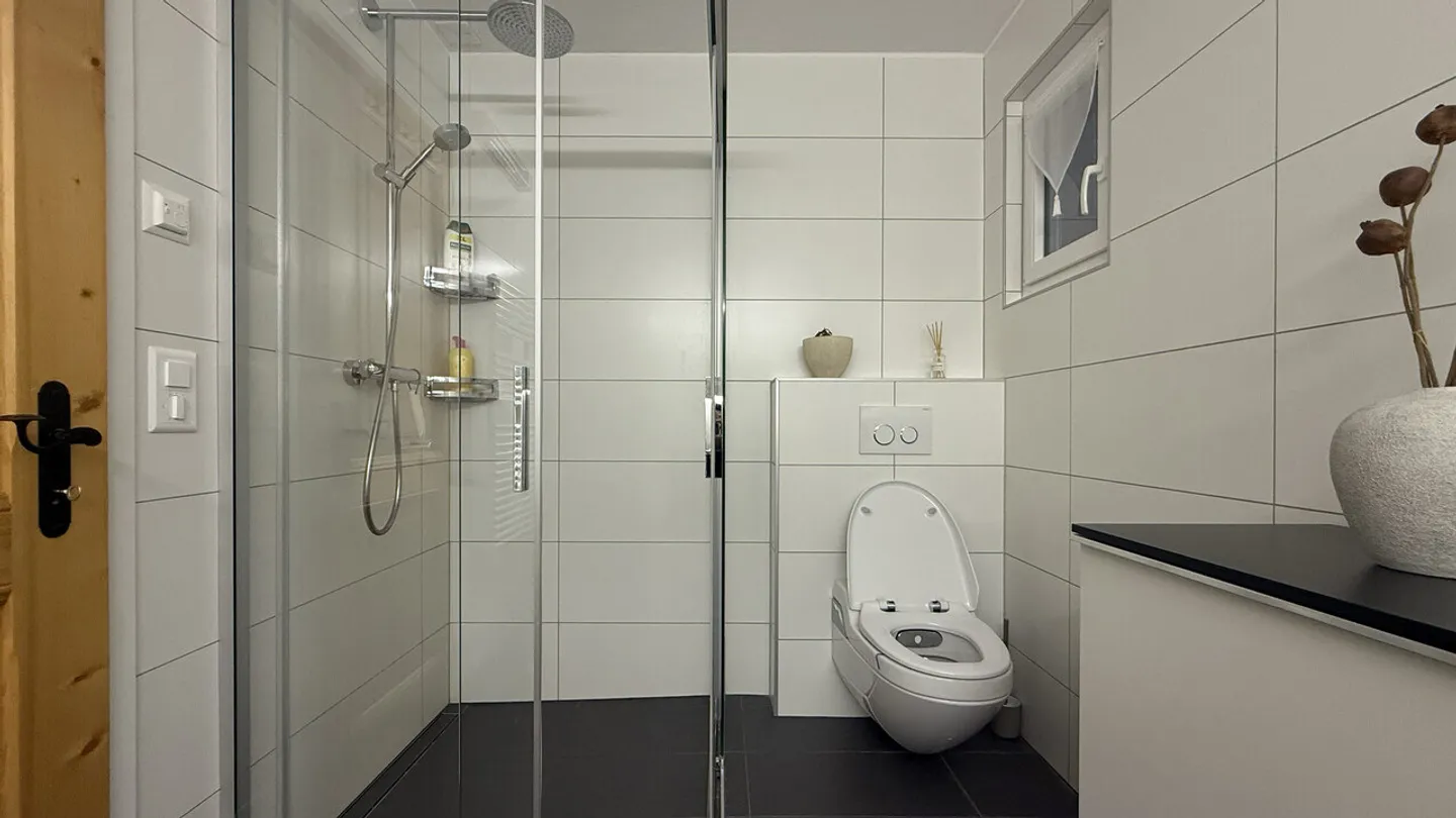 LOC 19 - CHALET GRINCHON - Foto 12 von 13